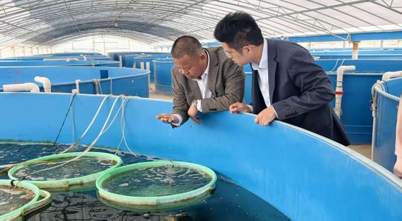  广西北部湾畔，金融活水涌动；海洋产业乘势而上，高质量发展步伐坚定。 新闻 广西北部湾畔，金融活水涌动；海洋产业乘势而上，高质量发展步伐坚定。 新闻