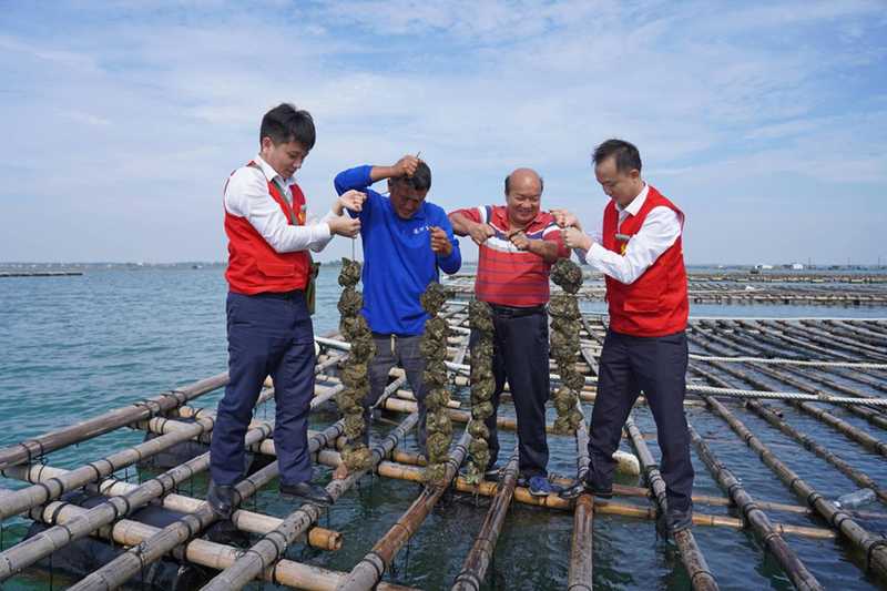  广西北部湾畔，金融活水涌动；海洋产业乘势而上，高质量发展步伐坚定。 新闻 广西北部湾畔，金融活水涌动；海洋产业乘势而上，高质量发展步伐坚定。 新闻