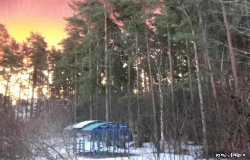  深层博弈揭秘：波罗的海能源枢纽背后的战略棋局 新闻 深层博弈揭秘：波罗的海能源枢纽背后的战略棋局 新闻