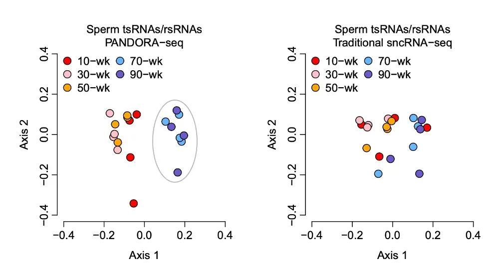 破解生育密码:精子RNA修饰与后代健康的深层关联 健康养生
