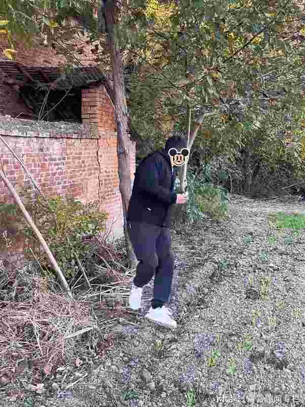  隐私边界与生理需求的博弈：乡间小路上的社交启示录 情感心理