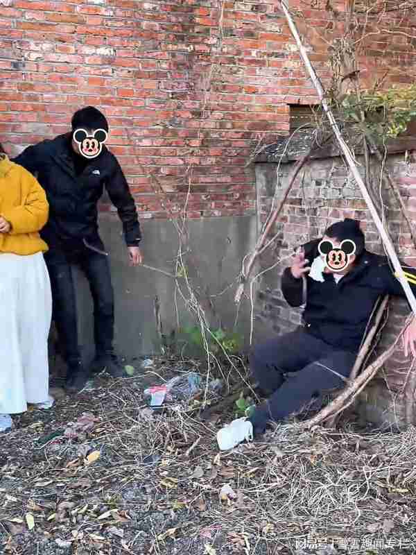  隐私边界与生理需求的博弈：乡间小路上的社交启示录 情感心理