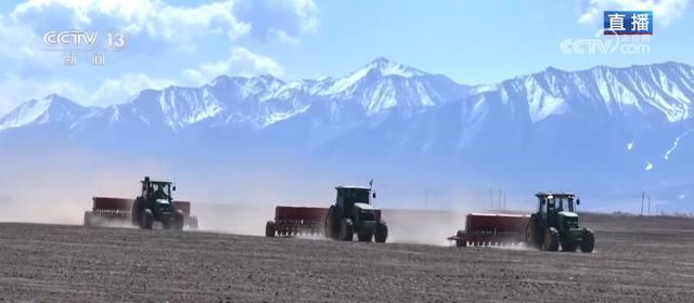 达坂山下的春播人：青稞田里的智慧与坚守