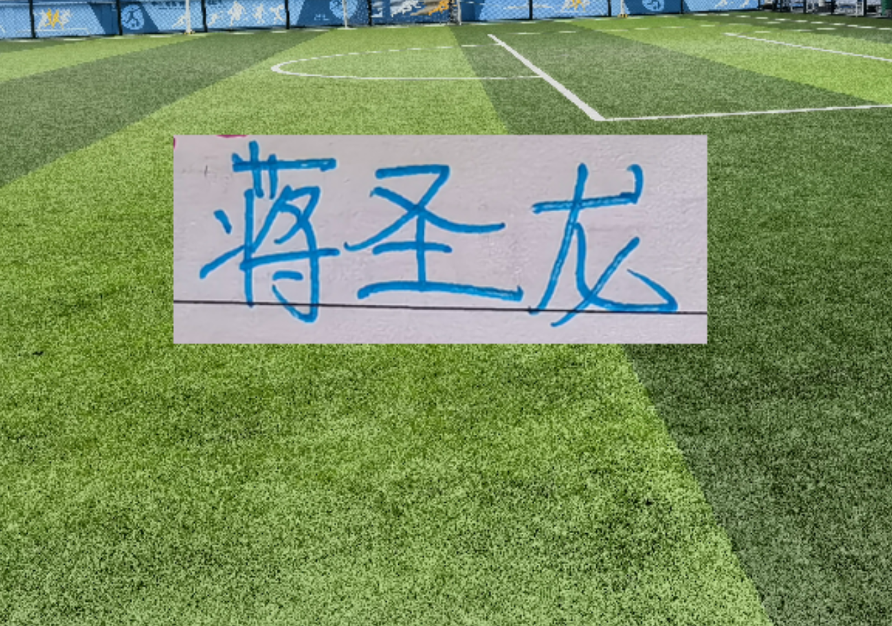 【深度复盘】两位中超最强中卫消失之谜：伤病迷雾与战术困局的系统性拆解 体育新闻