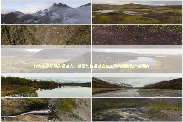 作为资深职场沟通达人，我是如何通过安全工具构建隐私护城河的 IT技术