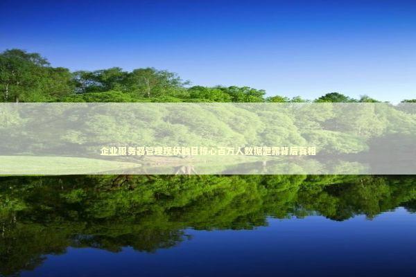 企业服务器管理现状触目惊心百万人数据泄露背后真相 IT技术
