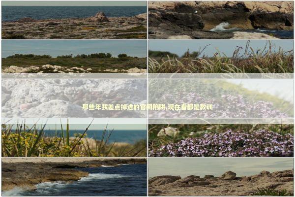 那些年我差点掉进的官网陷阱,现在看都是教训