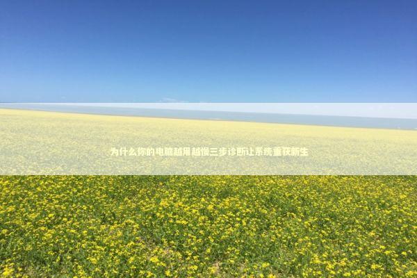 为什么你的电脑越用越慢三步诊断让系统重获新生