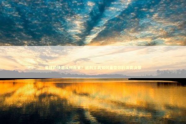 省钱的快感从何而来？返利工具如何重塑你的消费决策