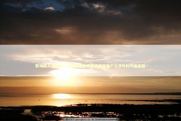 职场新人血泪史：这款沟通软件帮我搞定客户与领导的沟通难题
